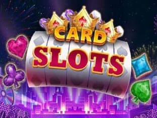 Card Slots thumbnail