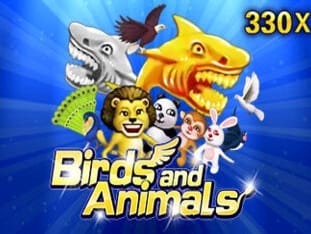 Birds And Animals thumbnail